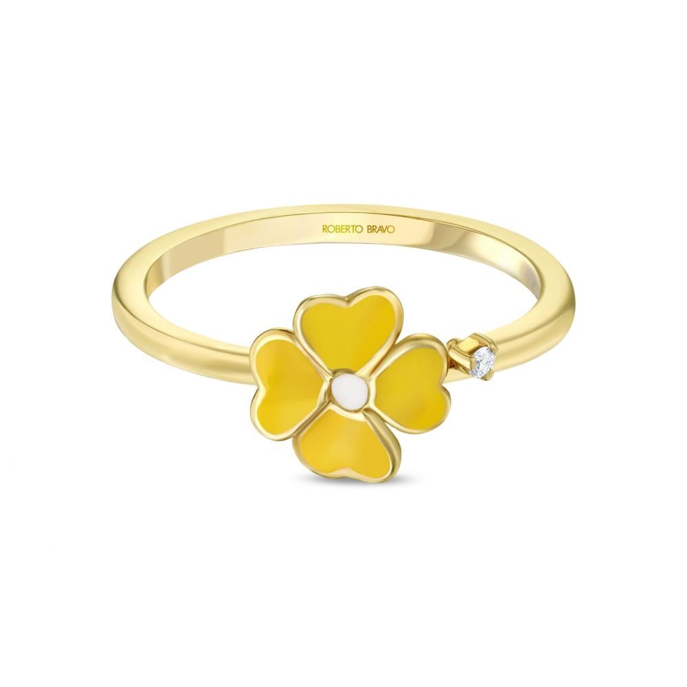 Ring TTR000001-00 2